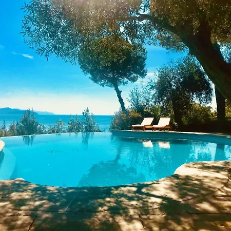 Wendy The Pool By Klabhouse Apartment *