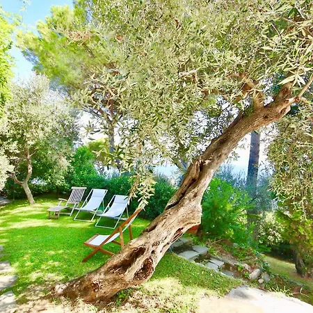 Wendy The Pool By Klabhouse Santa Margherita Ligure